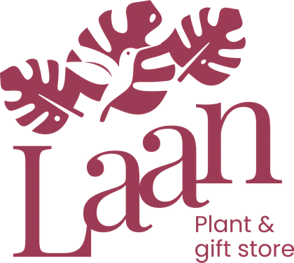 Laan Plant & Gift Store