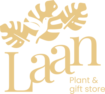 Laan Plant & Gift Store